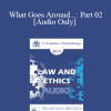 [Audio Download] EP17 Law & Ethics - What Goes Around...: Part 02 - Steven Frankel
