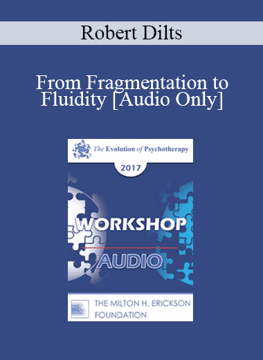 [Audio Download] EP17 Workshop 05 - From Fragmentation to Fluidity - Robert Dilts
