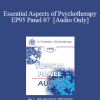 [Audio Download] EP95 Panel 07 - Essential Aspects of Psychotherapy - Stella Chess
