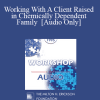 [Audio Download] EP95 WS13 - Working With A Client Raised in Chemically Dependent Family - Claudia Black