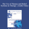 [Audio Download] EP95 WS26 - The Use of Themes and Belief Systems in Therapy - Peggy Papp