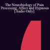 [Audio Download] IC04 Workshop 12 - The Neurobiology of Pain Processing