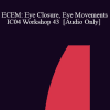 [Audio Download] IC04 Workshop 43 - ECEM: Eye Closure
