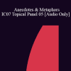 [Audio Download] IC07 Topical Panel 05 - Anecdotes & Metaphors - Steve Andreas