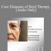 [Audio Download] IC11 Dialogue 04 - Core Elements of Brief Therapy - Stephen Gilligan