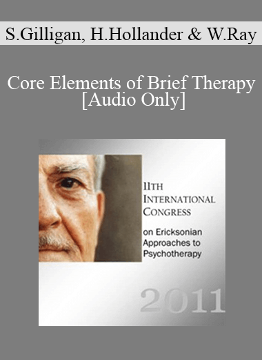[Audio Download] IC11 Dialogue 04 - Core Elements of Brief Therapy - Stephen Gilligan