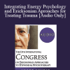 [Audio Download] IC19 Workshop 15 - Integrating Energy Psychology and Ericksonian Aproaches for Treating Trauma - Robert Schwarz