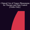 [Audio Download] IC83 Clinical Demonstration 27 - Clinical Use of Trance Phenomena for Therapy and Pain Control - Stephen R Lankton