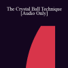 [Audio Download] IC88 Workshop 63 - The Crystal Ball Technique - Steve de Shazer