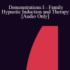 [Audio Download] IC92 Workshop 13a - Demonstrations I - Family Hypnotic Induction and Therapy - Camillo Loriedo