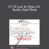 CC18 Law & Ethics 02 - Really Hard Work: Legal and Ethical Issues in Couples and Family Therapy (Part 02) - Steven Frankel