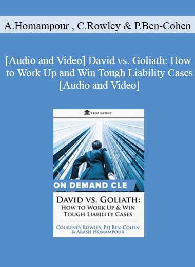 Trial Guides - David vs. Goliath: How to Work Up and Win Tough Liability Cases