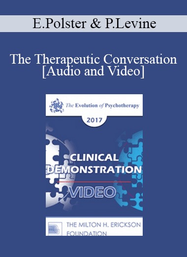 EP17 Clinical Demonstration with Discussant 05 - The Therapeutic Conversation: A Reunion of the Minds - Erving Polster