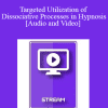 IC15 Clinical Demonstration 14 - Targeted Utilization of Dissociative Processes in Hypnosis - Brent Geary