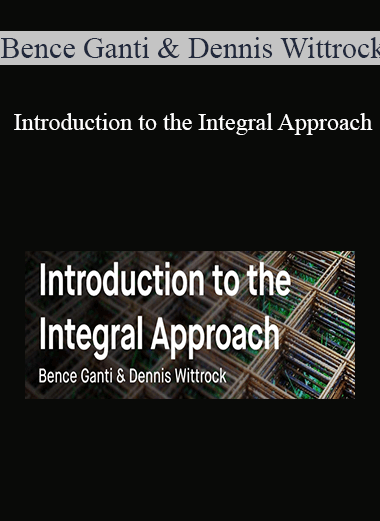 Bence Ganti & Dennis Wittrock - Introduction to the Integral Approach