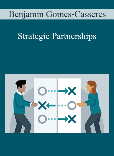 Benjamin Gomes-Casseres - Strategic Partnerships