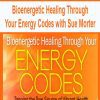 [Download Now] Bioenergetic Healing Through Your Energy Codes with Sue Morter
