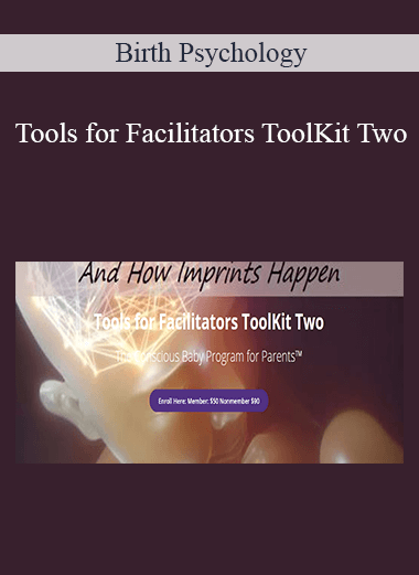 Birth Psychology - Tools for Facilitators ToolKit Two