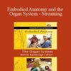 [Download Now] Bonnie Bainbridge Cohen - Embodied Anatomy and the Organ System - Streaming