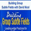 [Download Now] Building Group Subtle Fields with David Nicol