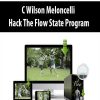 [Download Now] C Wilson Meloncelli – Hack The Flow State Program