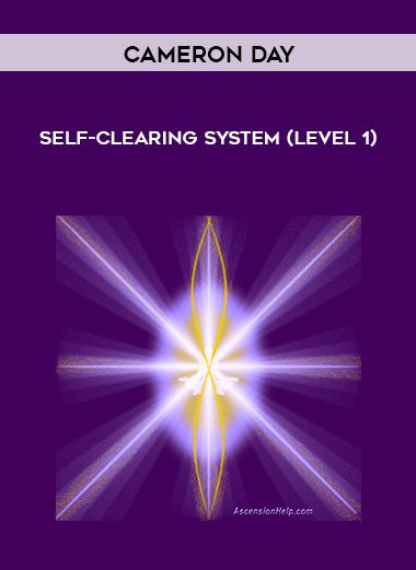 Self-Clearing System (Level 1) - Cameron Day