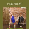 Carrie Owerko - Iyengar Yoga 201