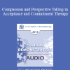 [Audio Download] EP13 Clinical Demonstration 13 - Compassion and Perspective Taking in Acceptance and Commitment Therapy (Video) - Steven Hayes
