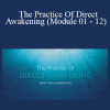 Craig Hamilton - The Practice Of Direct Awakening (Module 01 - 12)