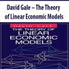 David Gale – The Theory of Linear Economic Models