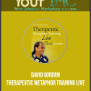 [Download Now] David Gordon - Therapeutic Metaphor Training LIVE