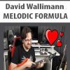 [Download Now] David Wallimann – MELODIC FORMULA
