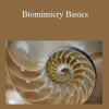 Denise K. DeLuca PE - Biomimicry Basics