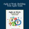 Doug Rose - Agile at Work: Building Your Agile Team