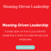 Dov Baron - Meaning-Driven Leadership