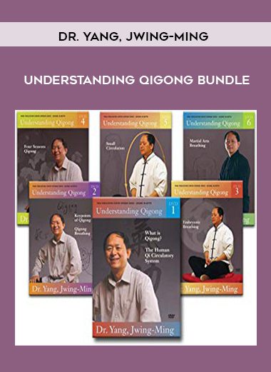 Understanding Qigong Bundle - Dr. Yang