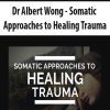 [Download Now] Dr Albert Wong - Somatic Approaches to Healing Trauma