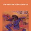 Dr David S. Butler - The sensitive nervous system