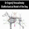 [Download Now] Dr Evgenij Yerusalimsky – BioMechanical Model of the Dog