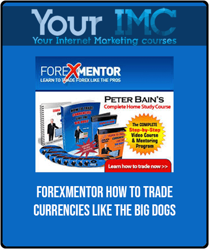 Forexmentor - How to Trade Currencies Like the Big Dogs