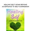 [Download Now] Healing Self: Going Beyond Acceptance to Self-Compassion - Richard C. Schwartz
