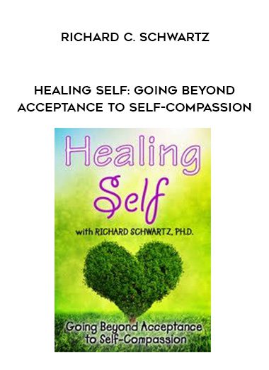 [Download Now] Healing Self: Going Beyond Acceptance to Self-Compassion - Richard C. Schwartz