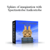 Hypnotica - Sphinx of imagination with Spectrastrobe/Audiostrobe