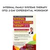 [Download Now] Internal Family Systems Therapy (IFS): 2-Day Experiential Workshop - Richard C. Schwartz