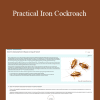 J.L. Lord - Practical Iron Cockroach