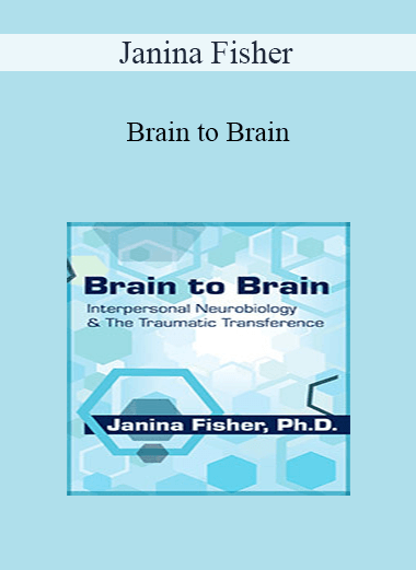 Janina Fisher - Brain to Brain: Interpersonal Neurobiology & The Traumatic Transference