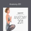 Karin Gurtner - Anatomy 201