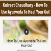 [Download Now] Kulreet Chaudhary - How To Use Ayurveda To Heal Your Gut