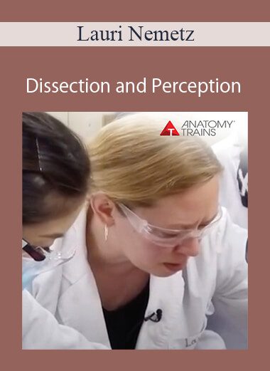Lauri Nemetz - Dissection and Perception