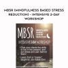 [Download Now] MBSR (Mindfulness Based Stress Reduction) - Intensive 2-Day Workshop - Diane Renz